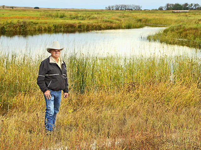 ImA stream restoration project brought back forage production to Roy Stewartâ€™s Nebraska Hereford operation,Image by Brooke Kaczor